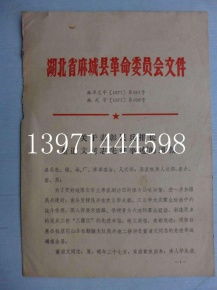 紅色記憶的載體 文革時期的書籍報刊與文獻檔案